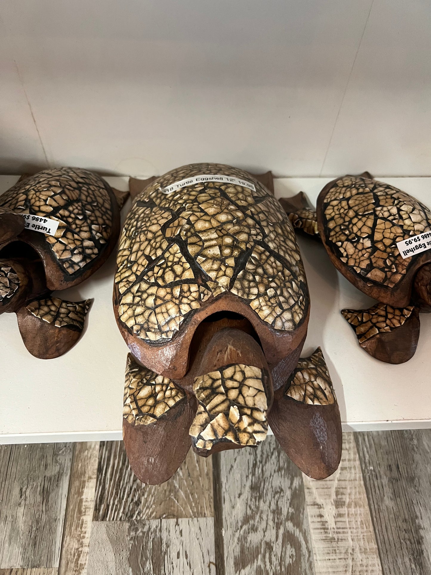 Turtle Eggshell 12"-12"