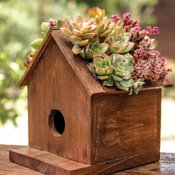 Jade Plantable Birdhouse