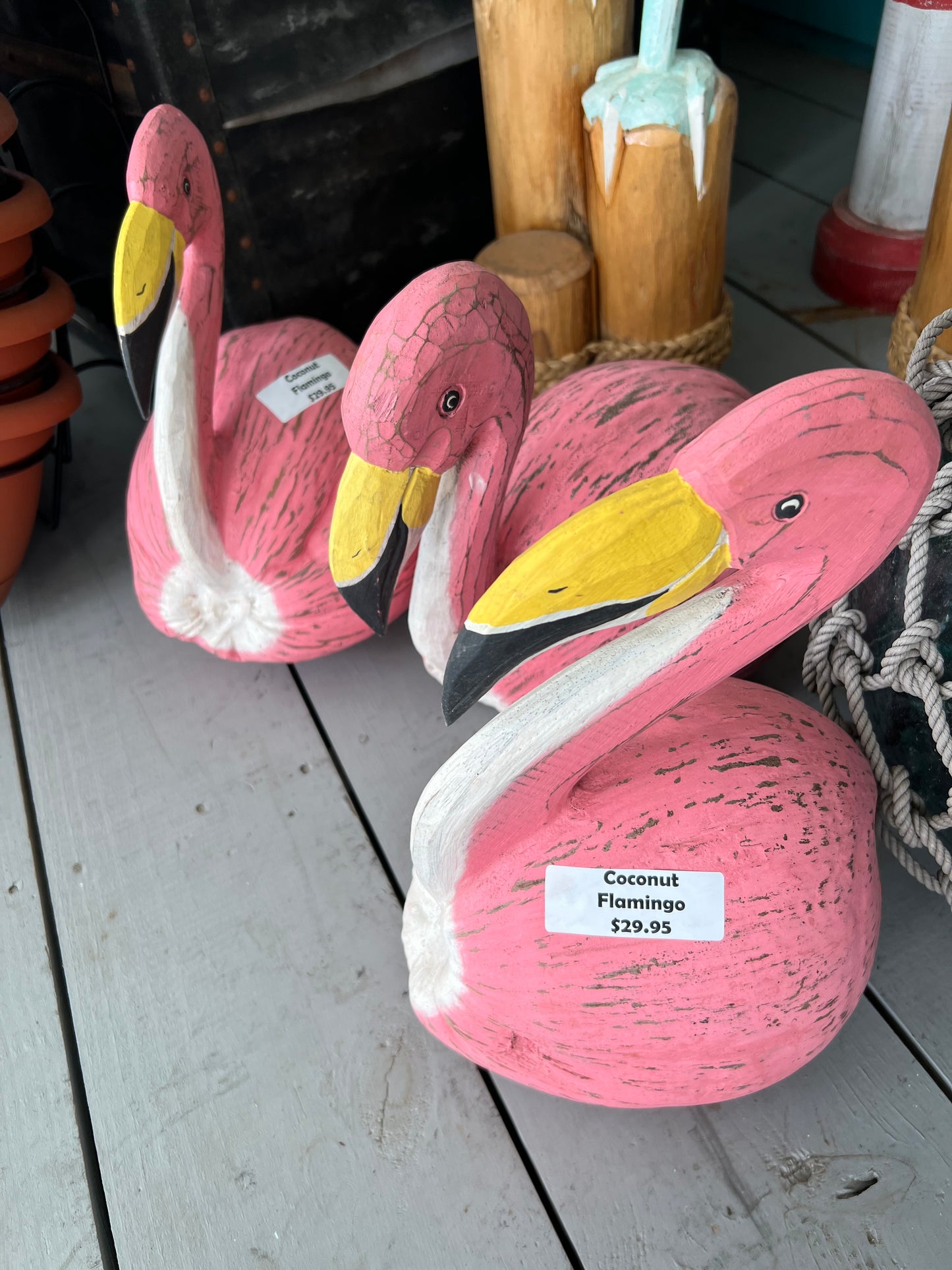 Coconut Wood Carvings