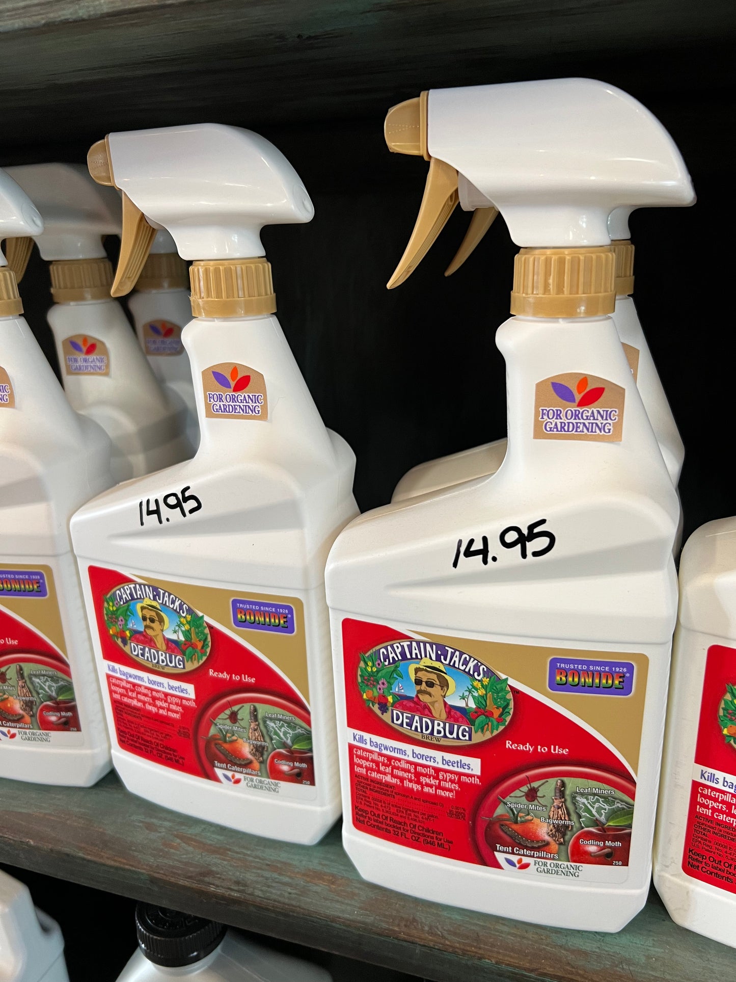 Capt Jack Deadbug Brew