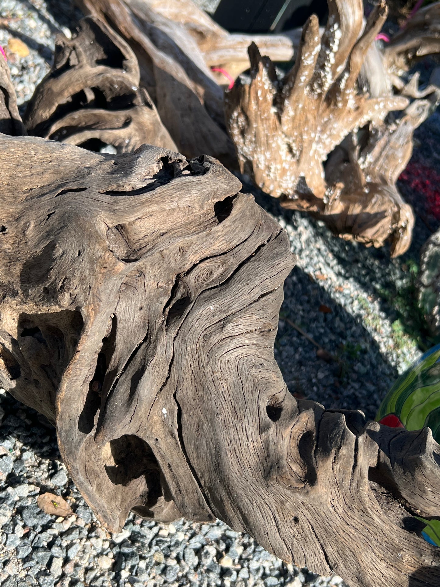 Drift Wood hand picked