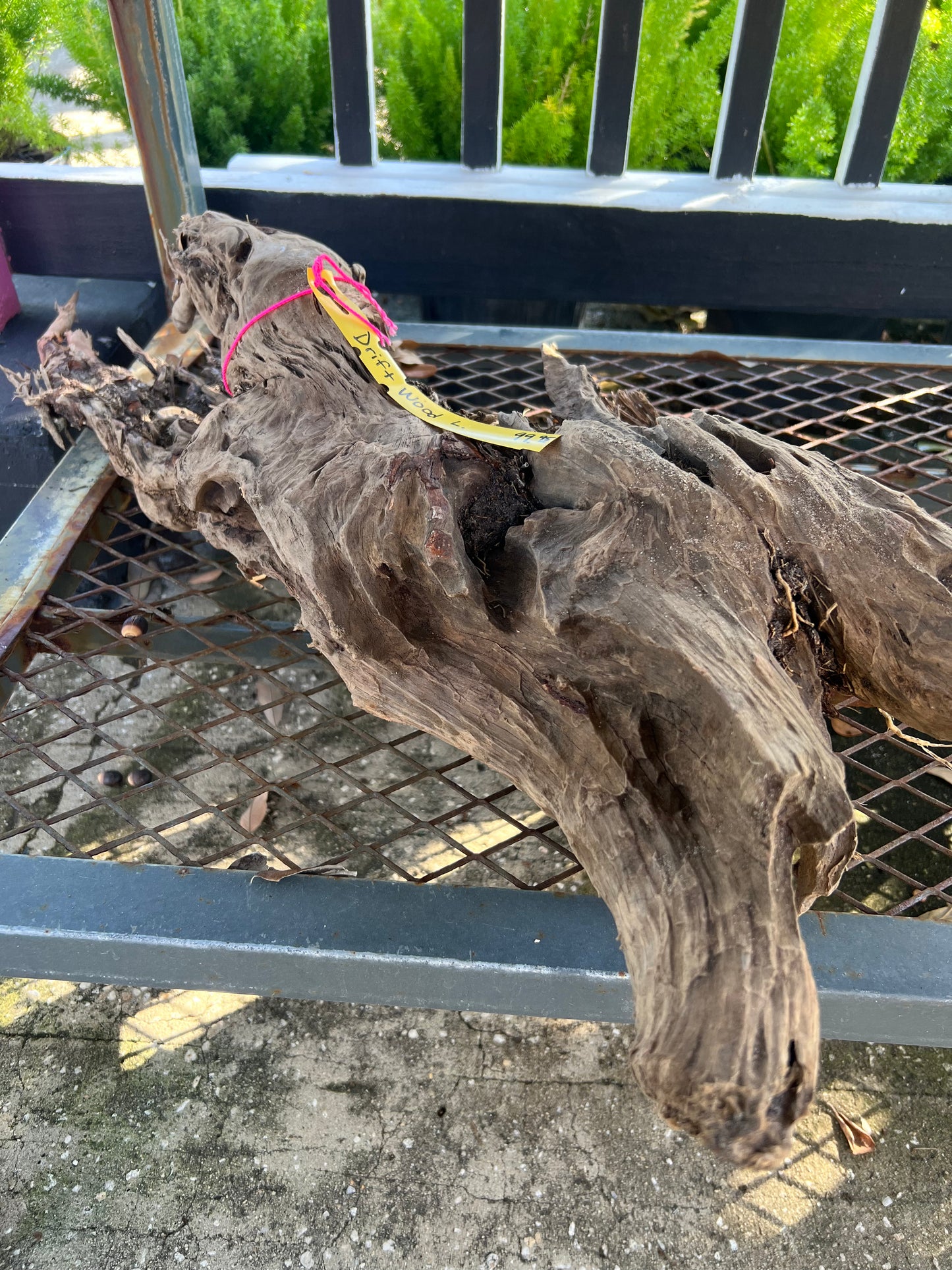 Drift Wood hand picked
