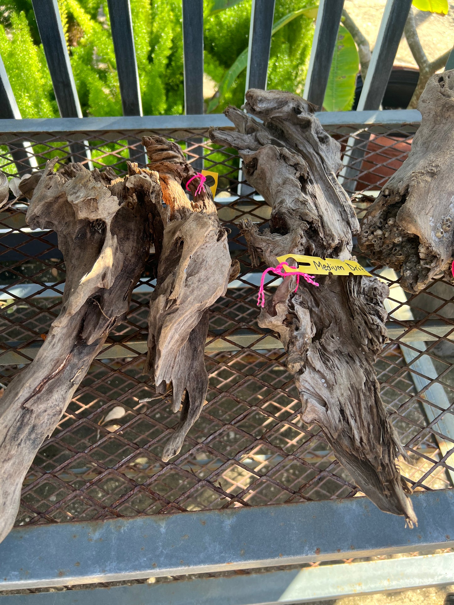 Drift Wood hand picked