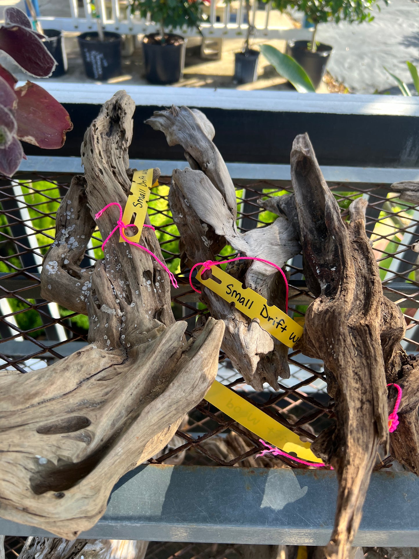Drift Wood hand picked