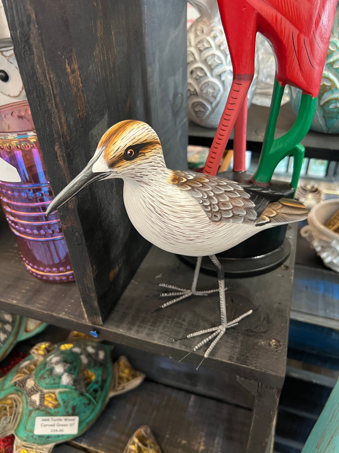 Bird Species