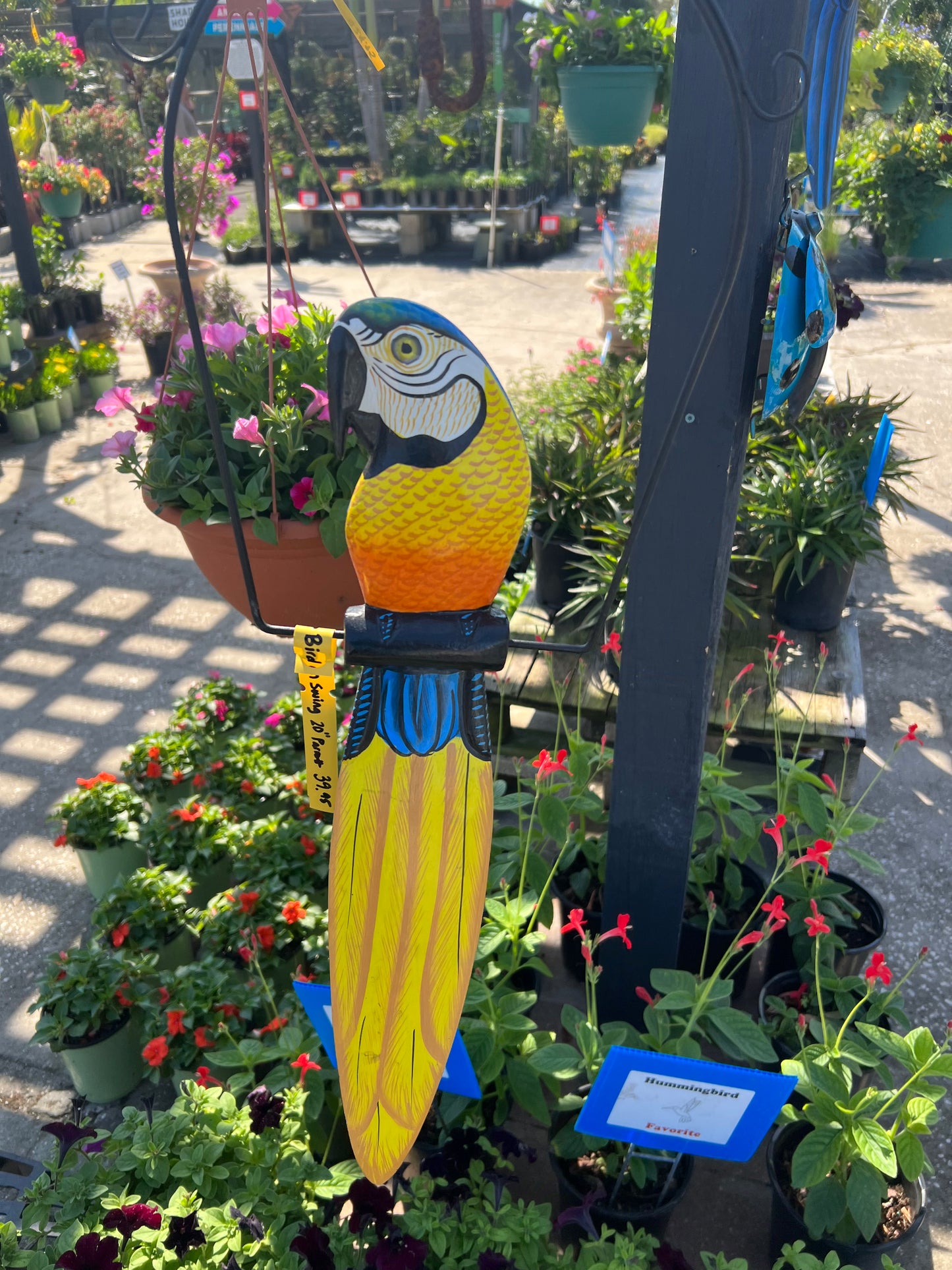 Bird on Swing