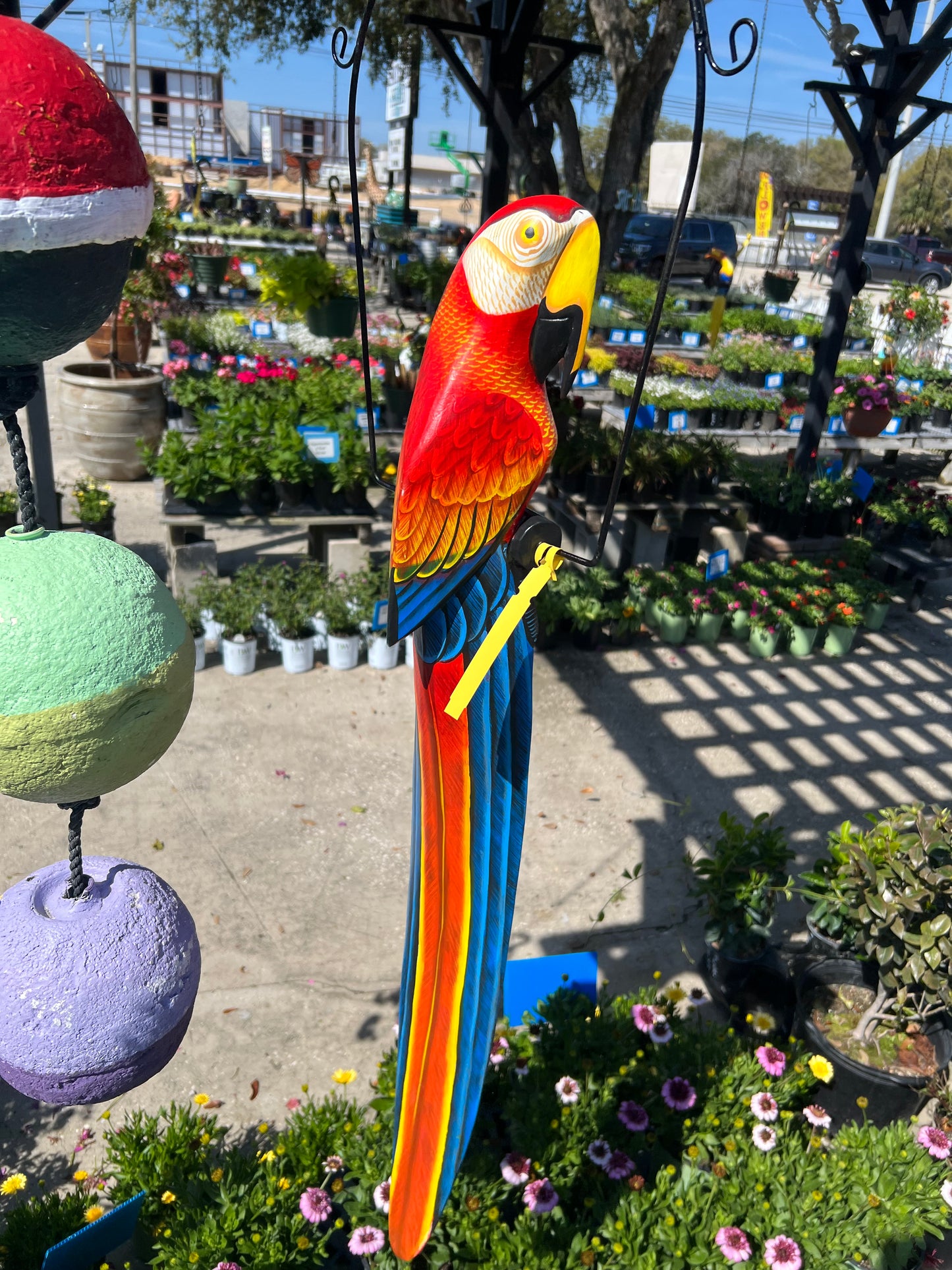 Bird on Swing