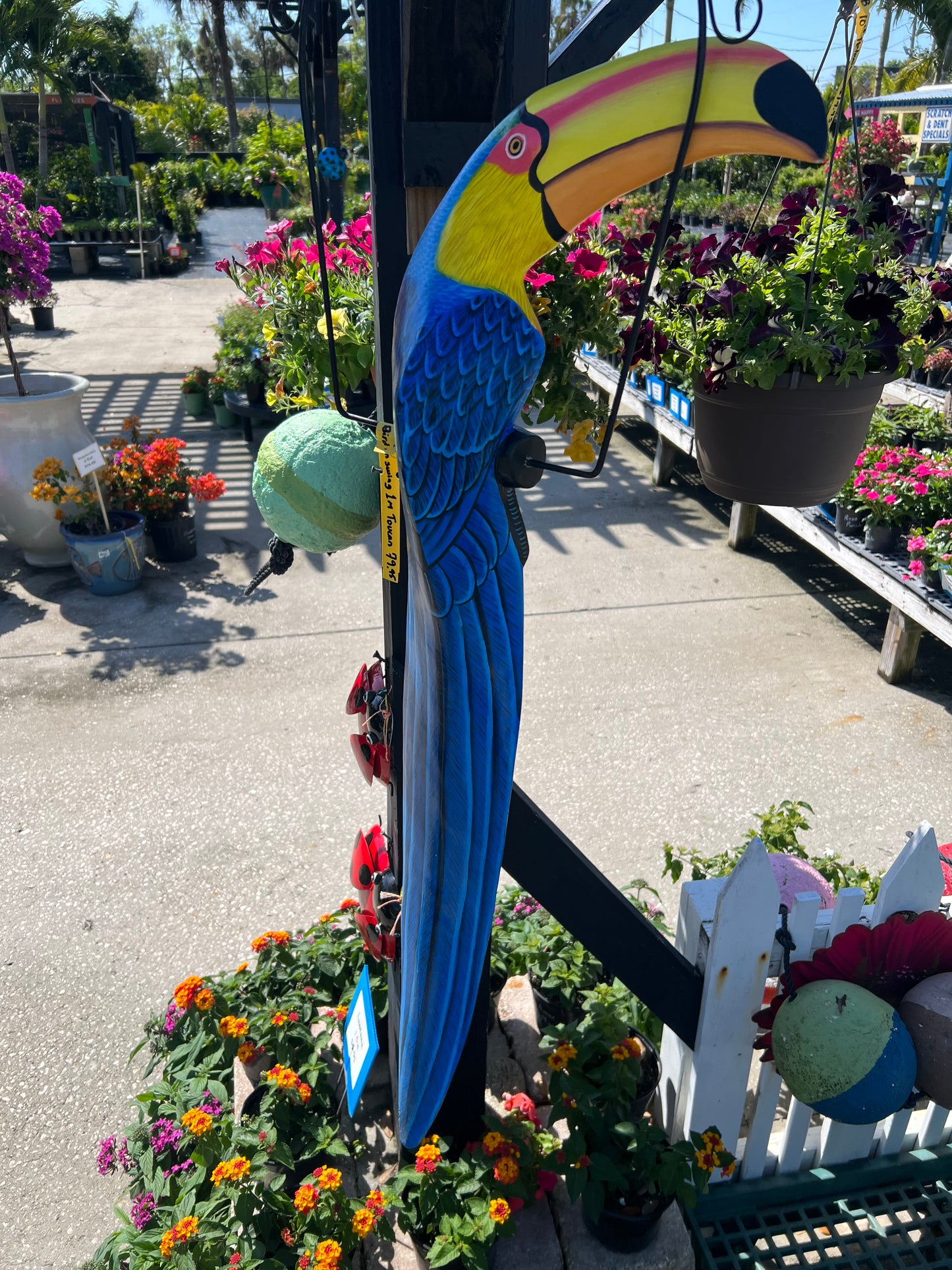 Bird on Swing