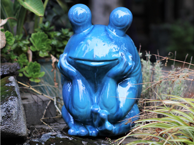 PVLBST22A Thinking Frog 2 Sizes