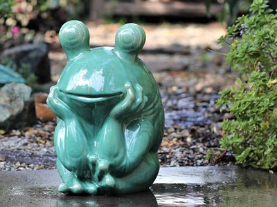 PVLBST22A Thinking Frog 2 Sizes