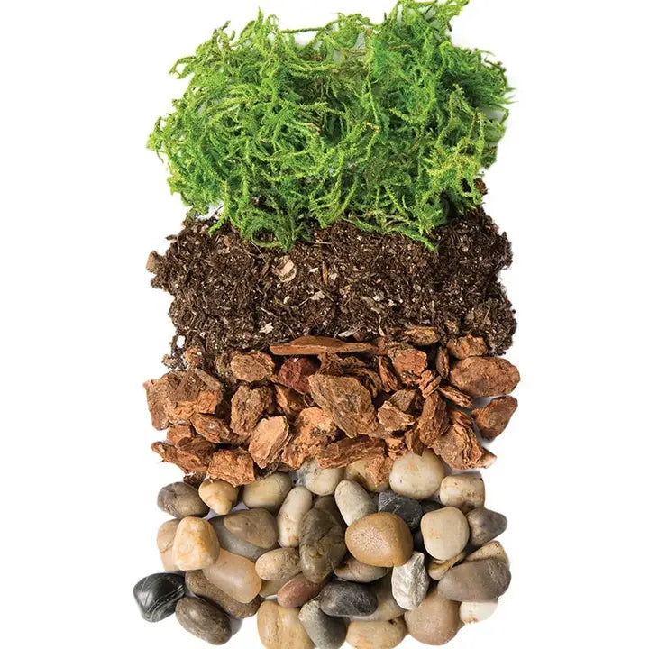 Super Moss DIY Terrarium Jar Kit 32 oz