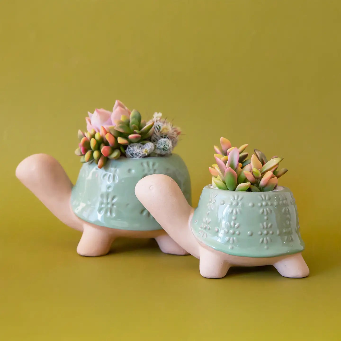 Turtle Planter