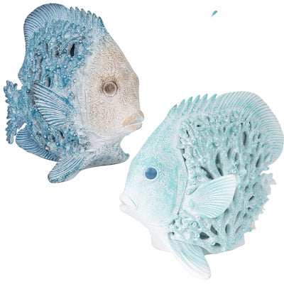 Coral Sea Animals