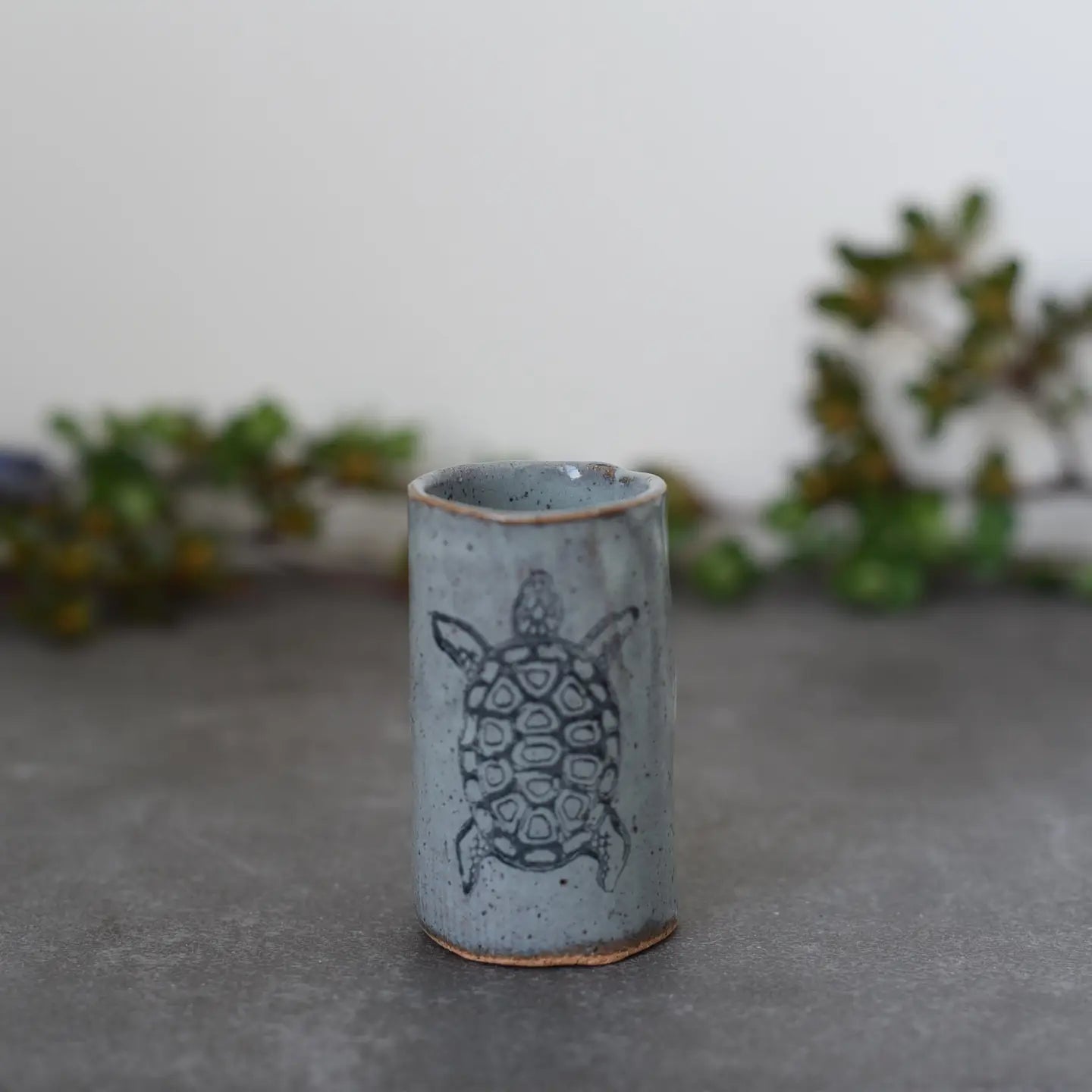 Tumbler Tiny