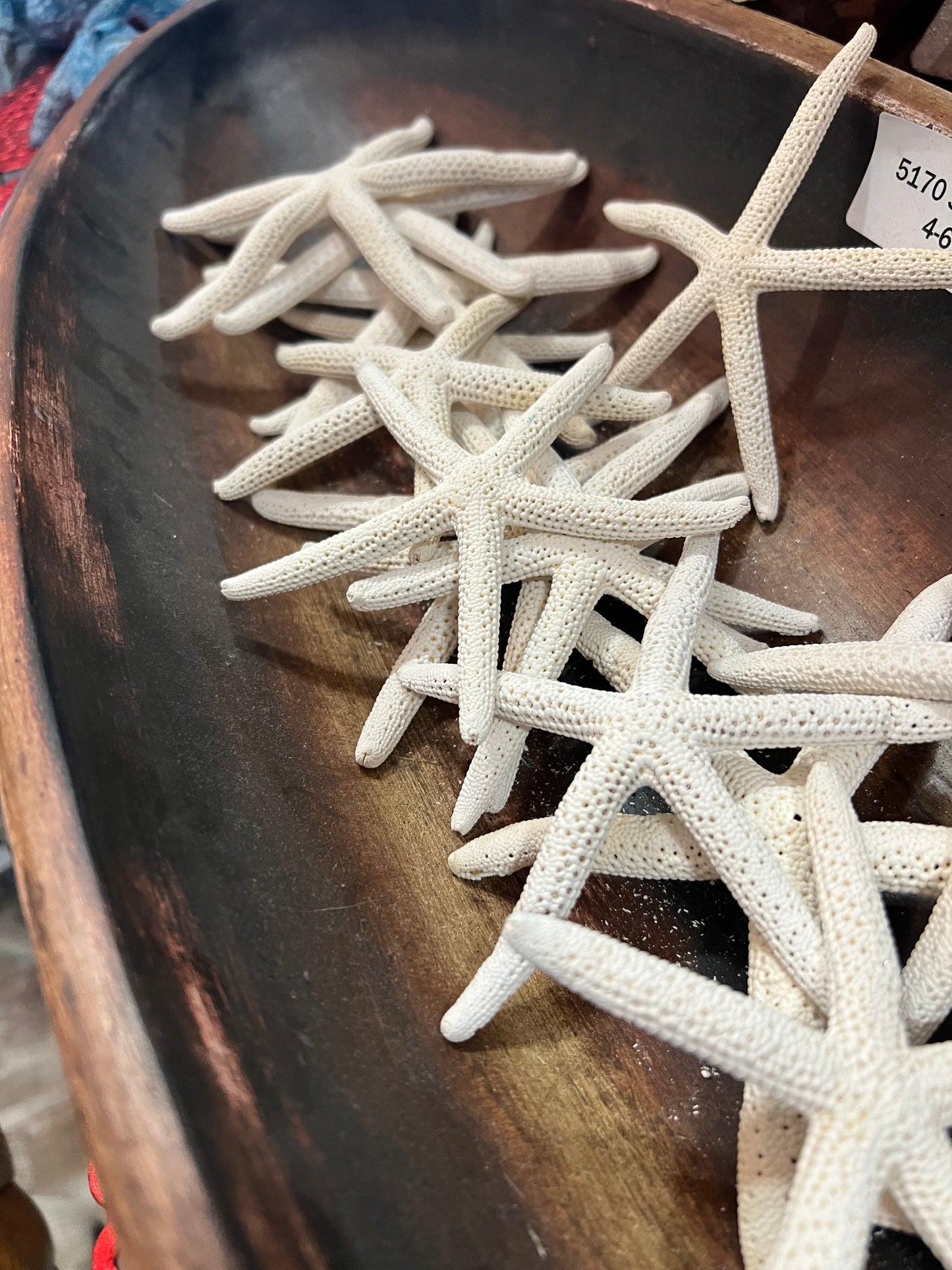 Starfish Pencil