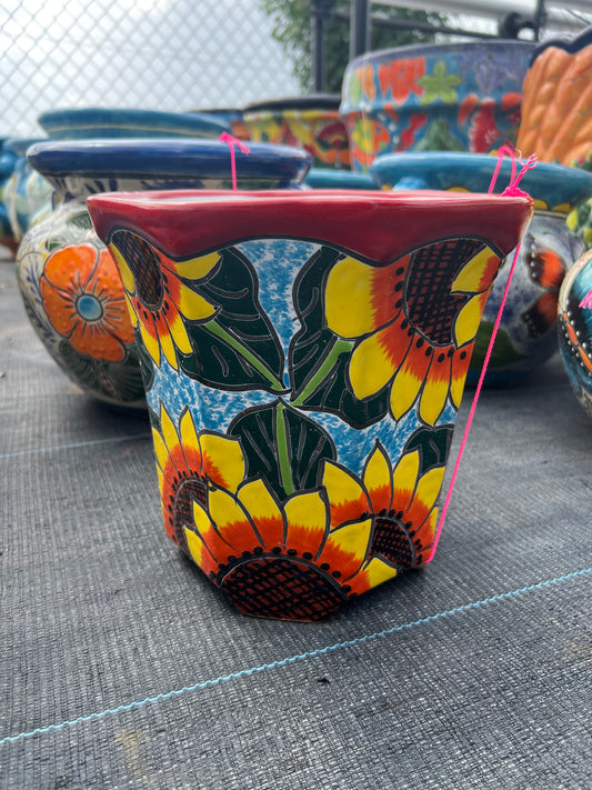 Talavera Octagon Pot