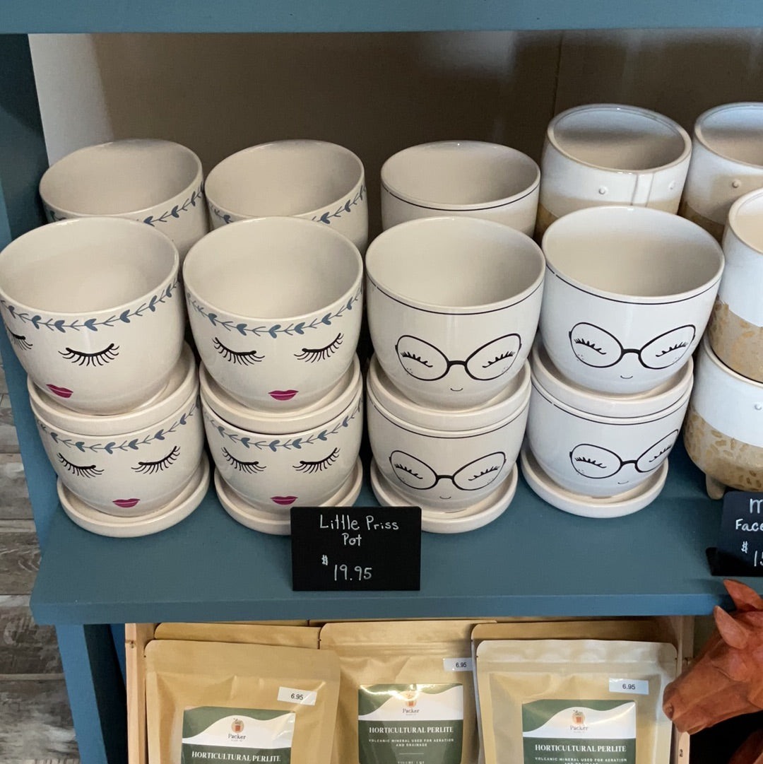 Little Priss Pot Assorted 5"-4.25"
