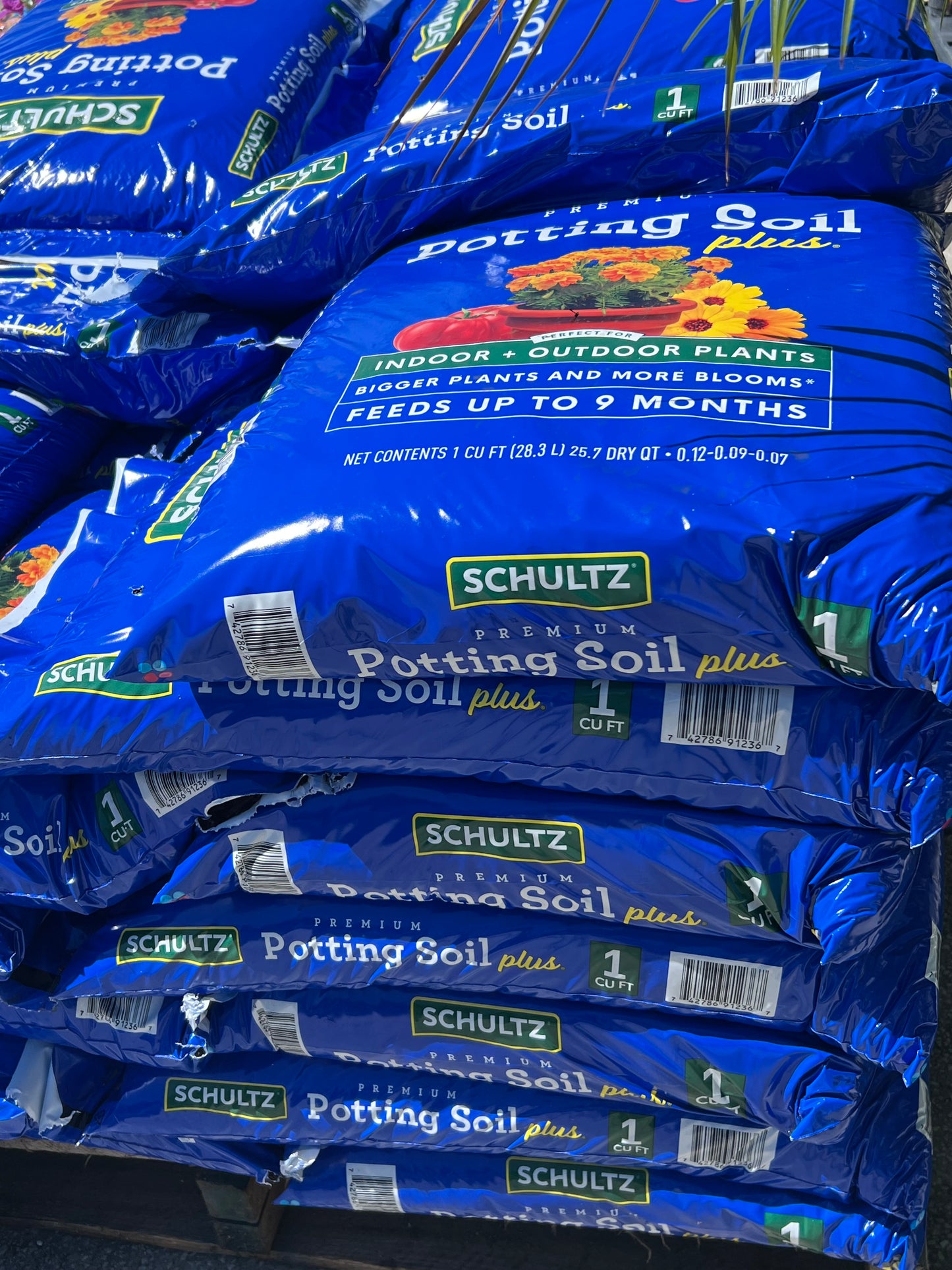 Soil Schultz Potting Mix-1Cf