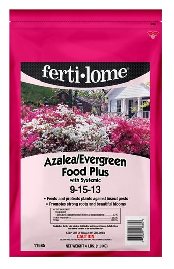 Azalea Evergrn Plus 9-15-13