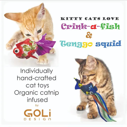 Cat Crink a Fish