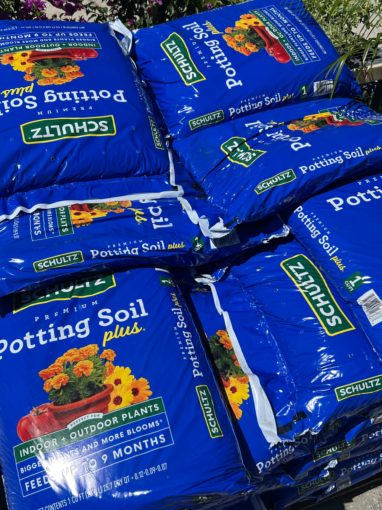 Soil Schultz Potting Mix-1Cf