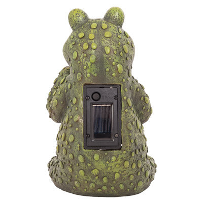 Frog Solar