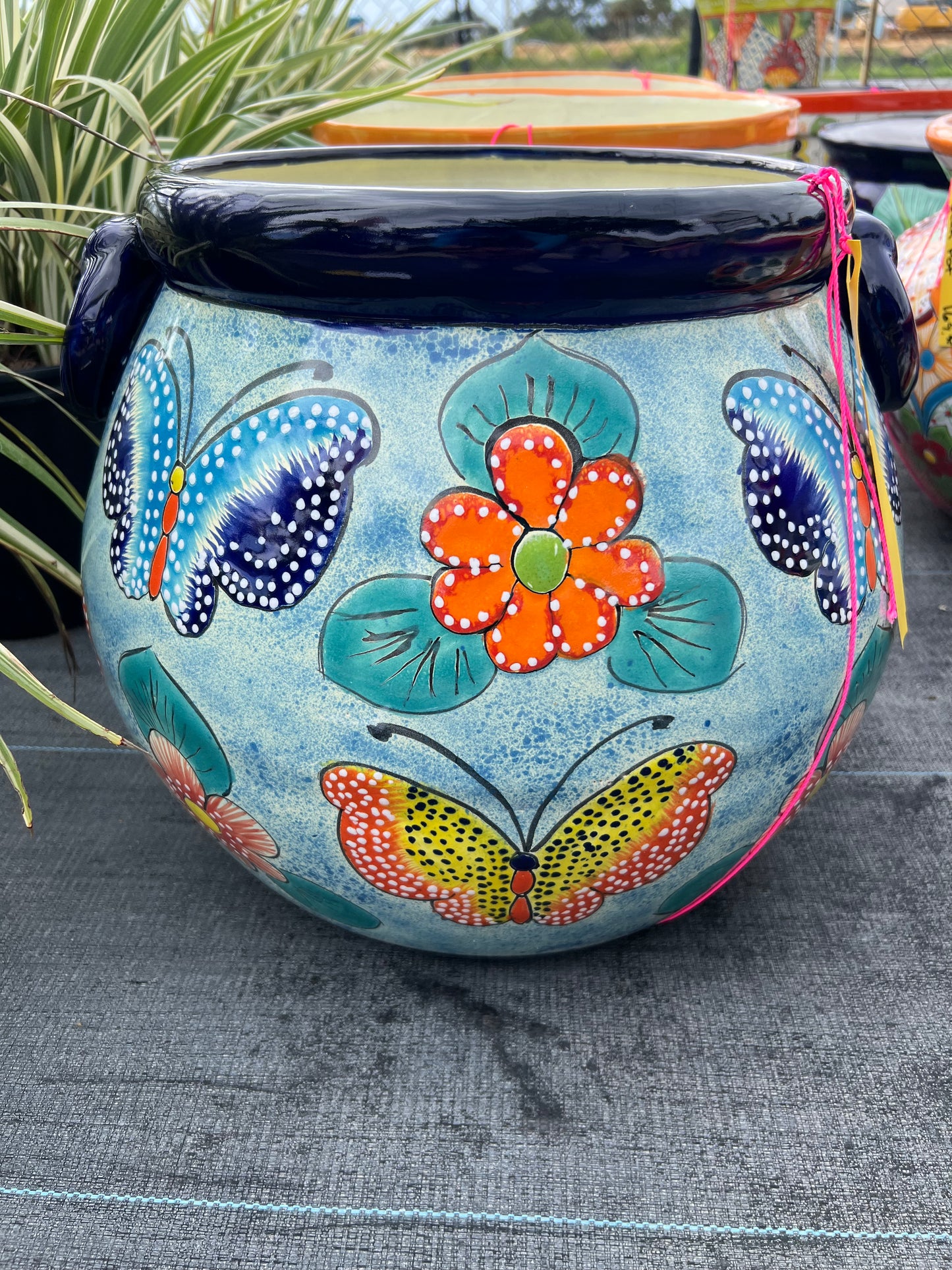 Talavera Pot