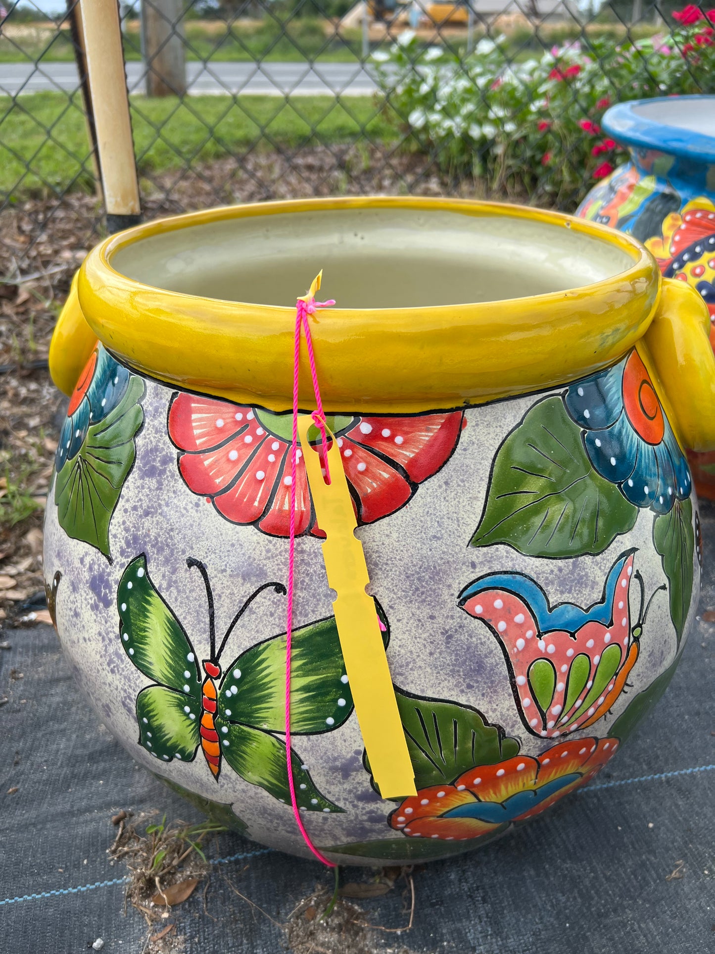 Talavera Pot