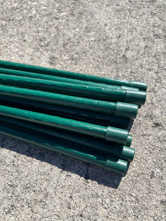 Blue Ribbon Sturdy Stakes 6'