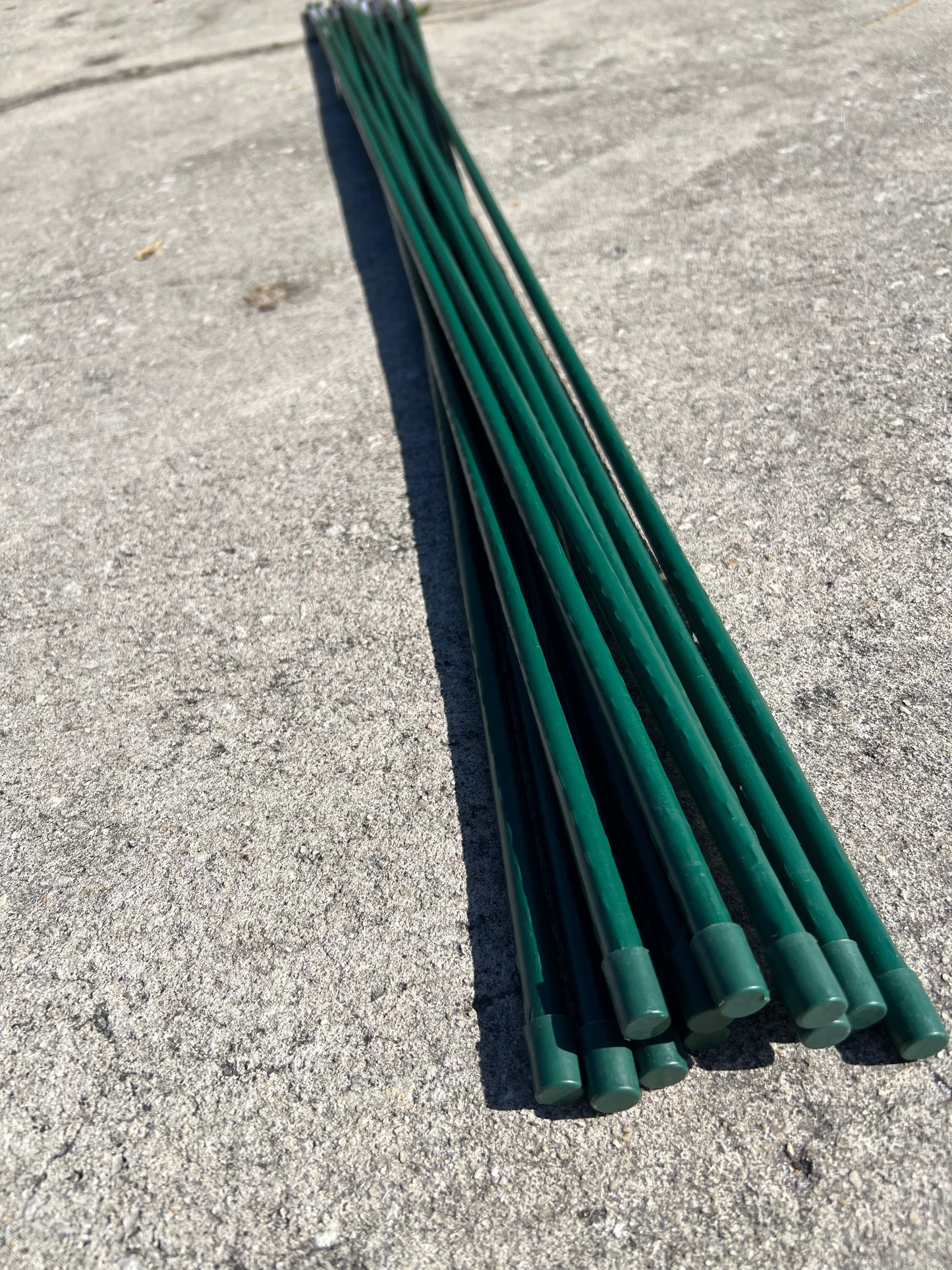 Blue Ribbon Sturdy Stakes 6'