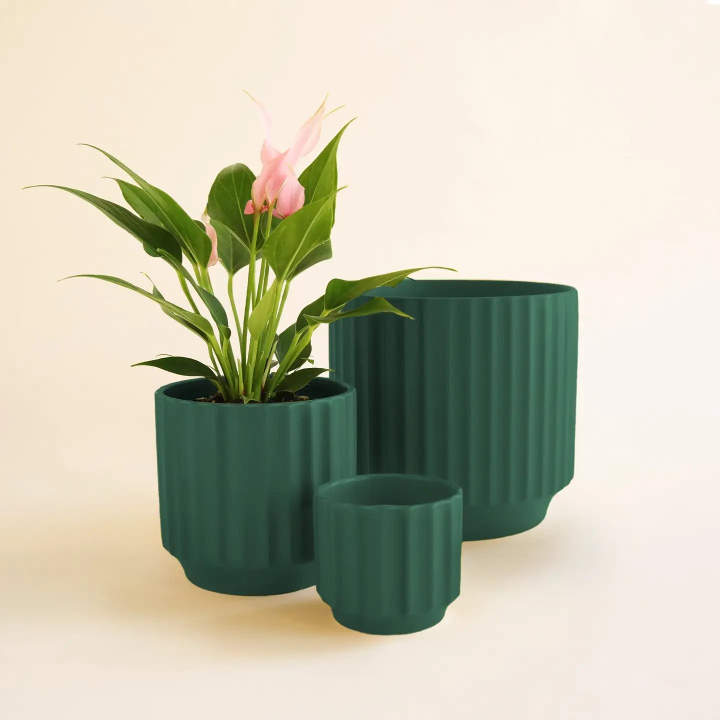 Jungle Club Planter