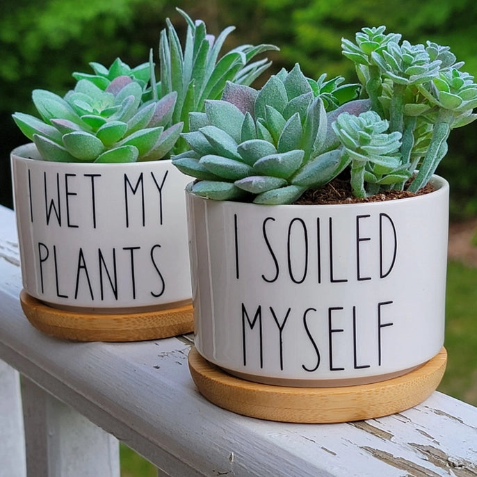 Sassy Succulent Pots Ceramic-4"