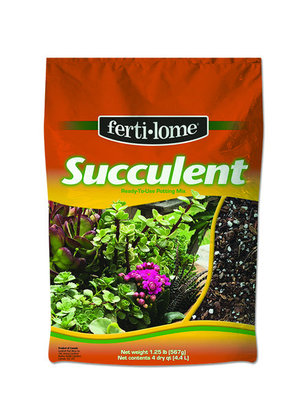 Ferti Succulent Mix