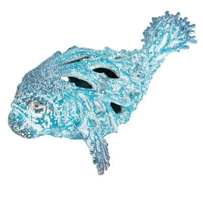 Coral Sea Animals