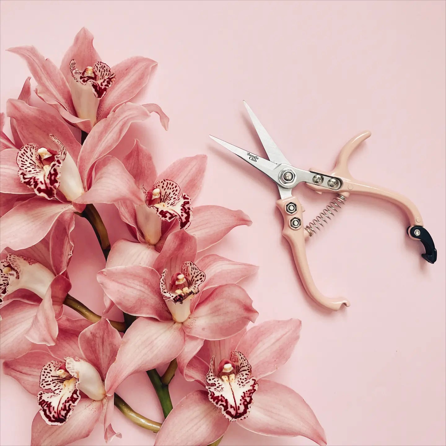 Pruner Shears One Size