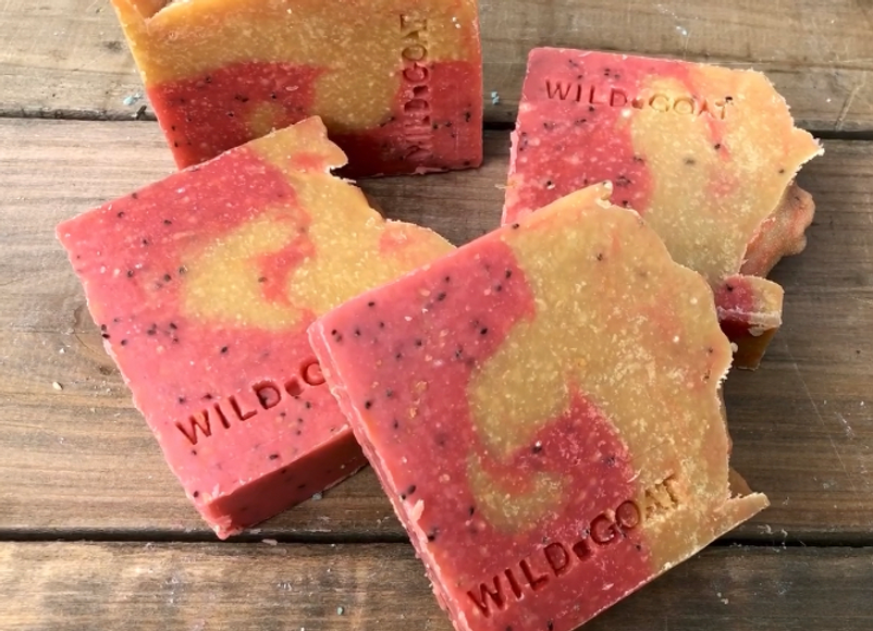 Soap Wild Goat Bars
